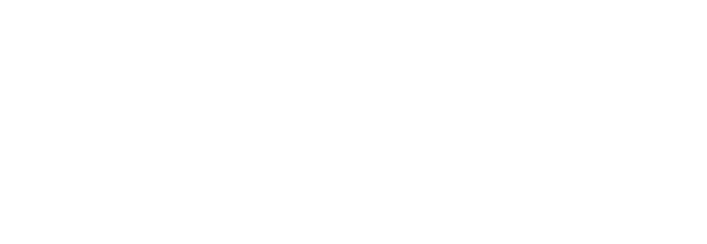 Expert Partners Logo